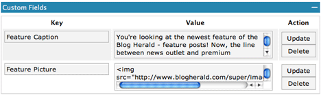 Custom fields in WordPress
