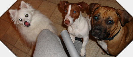 You don't think they want food, do ya?