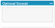 Image of the optional excerpt box in the Write Page section of the WordPress Administration Panel