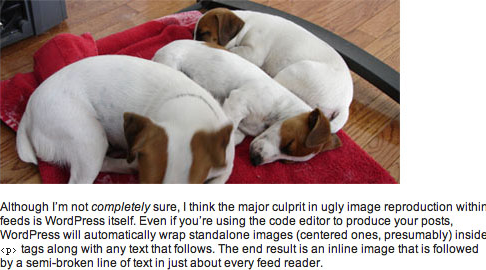 Ahh, a nicely-formatted image and text combination in Google Reader Proper image display in Google Reader