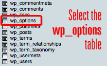 Select the wp_options table inside phpMyAdmin